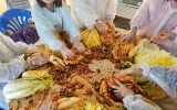 청송초등학교 …